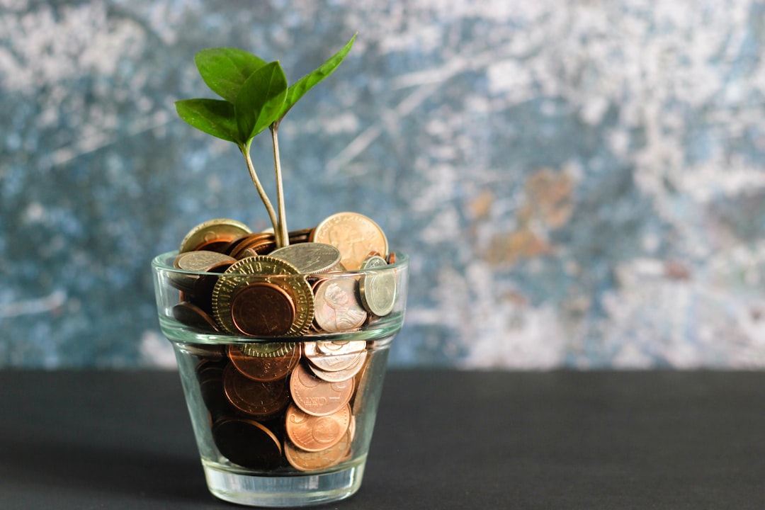 Investing 101: Beginner’s Guide to Growing Your Money