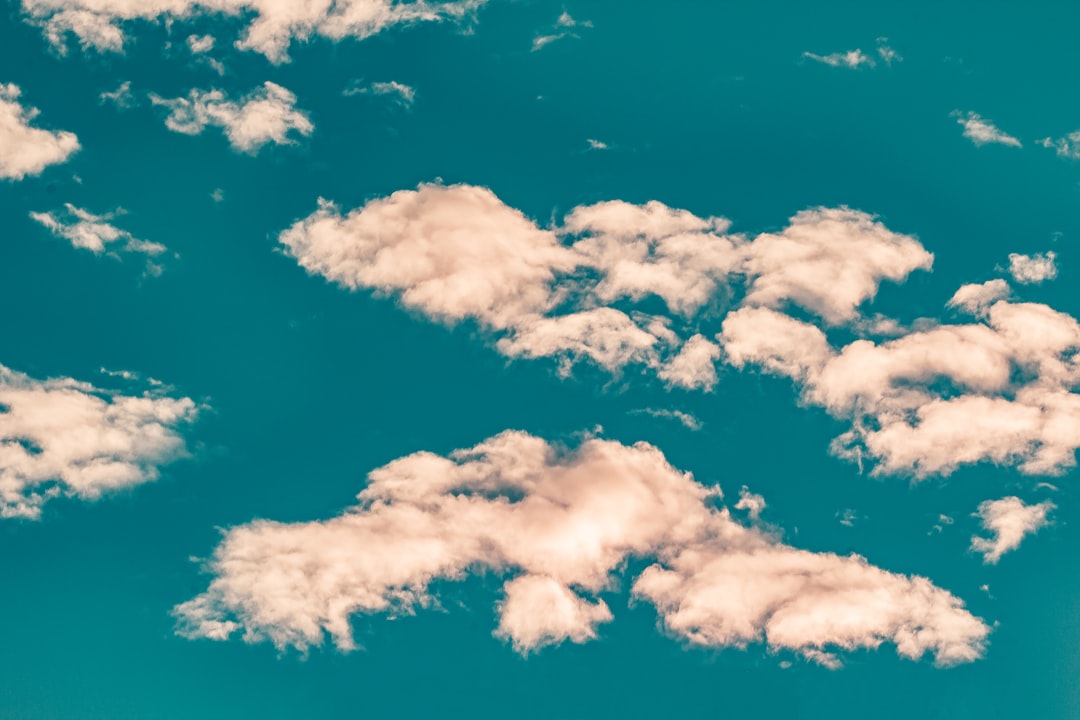 Key Factors Companies Seek in Cost-Effective Cloud Services