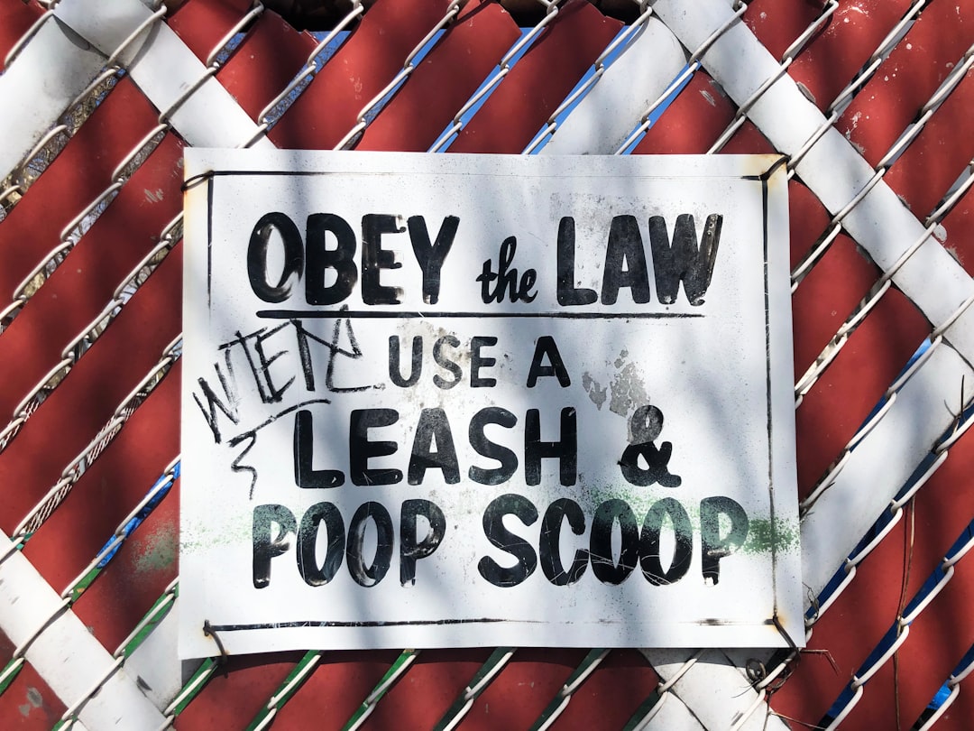Insights from Ashley Levey: [Main Topic or Key Takeaway of t…
